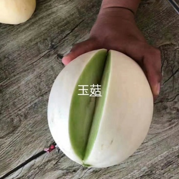 山东莘县大市场甜瓜之乡