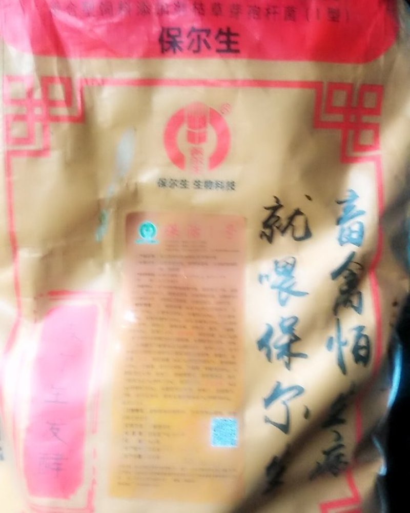 保活1号