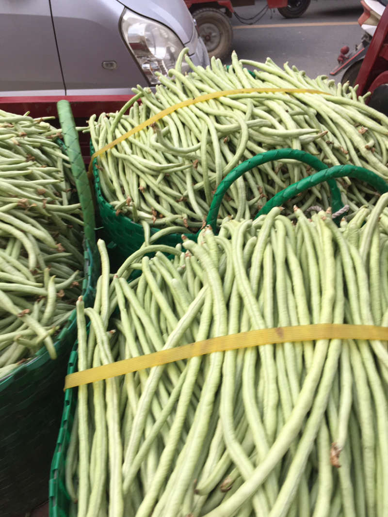 豆角