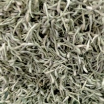 金银花！大货批发！新货上市产地直销批发价格优！