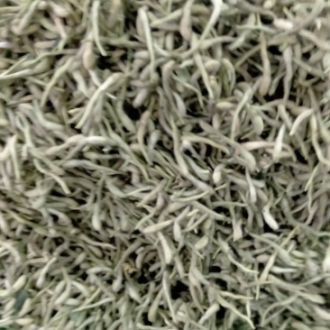 金银花！大货批发！新货上市产地直销批发价格优！