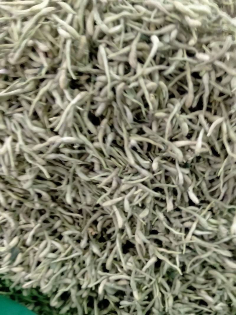 金银花！大货批发！新货上市产地直销批发价格优！