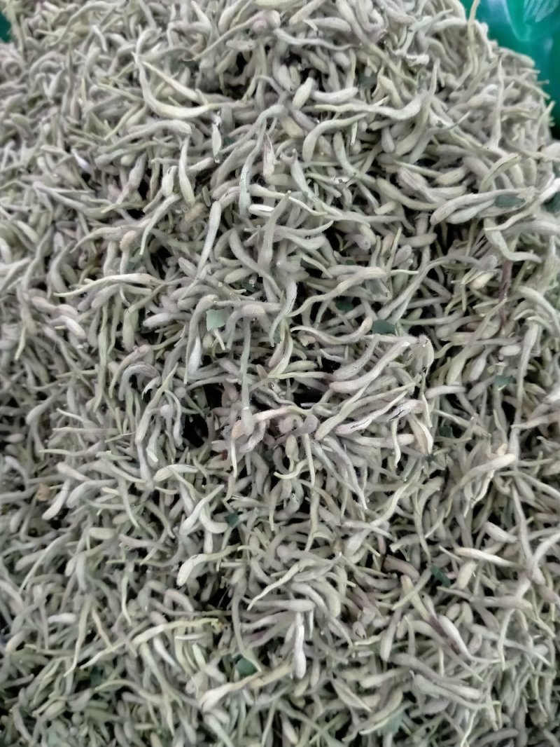 金银花！大货批发！新货上市产地直销批发价格优！