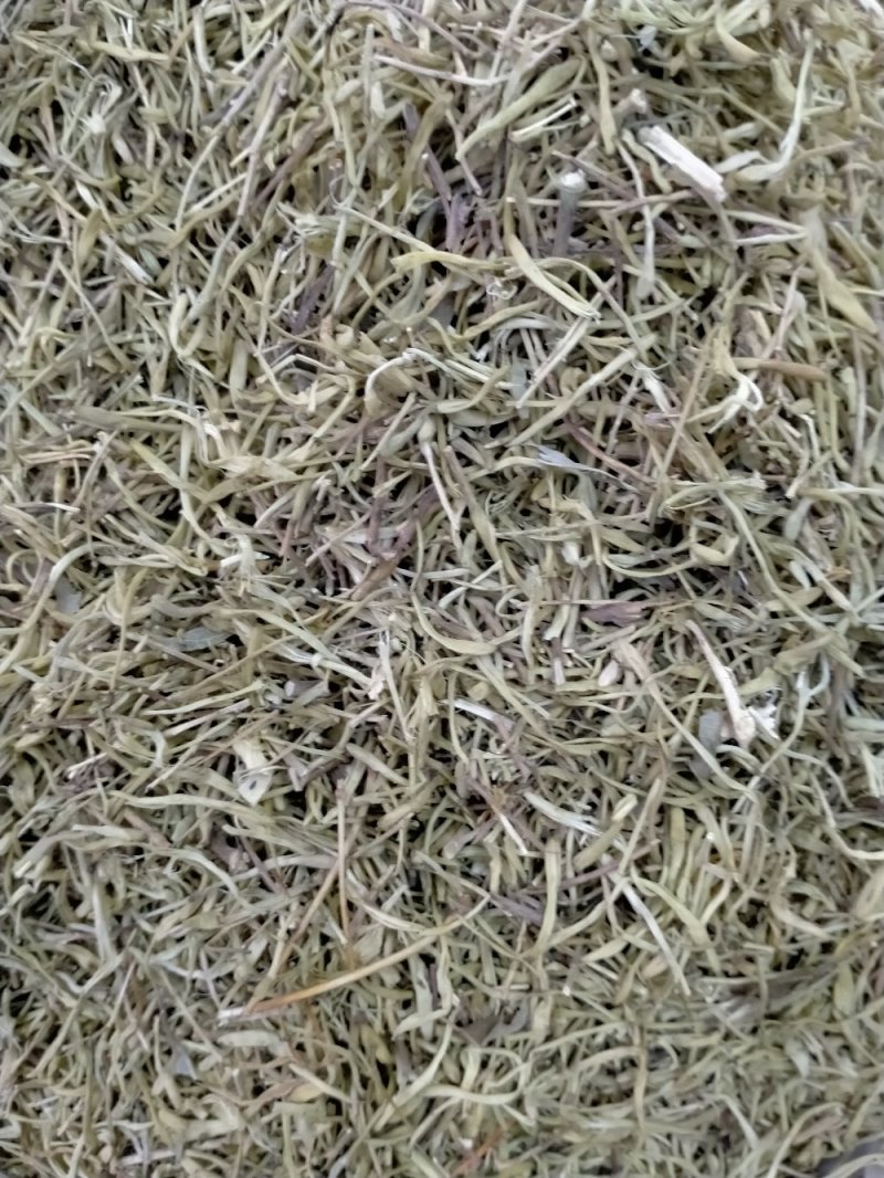 金银花！大货批发！新货上市产地直销批发价格优！