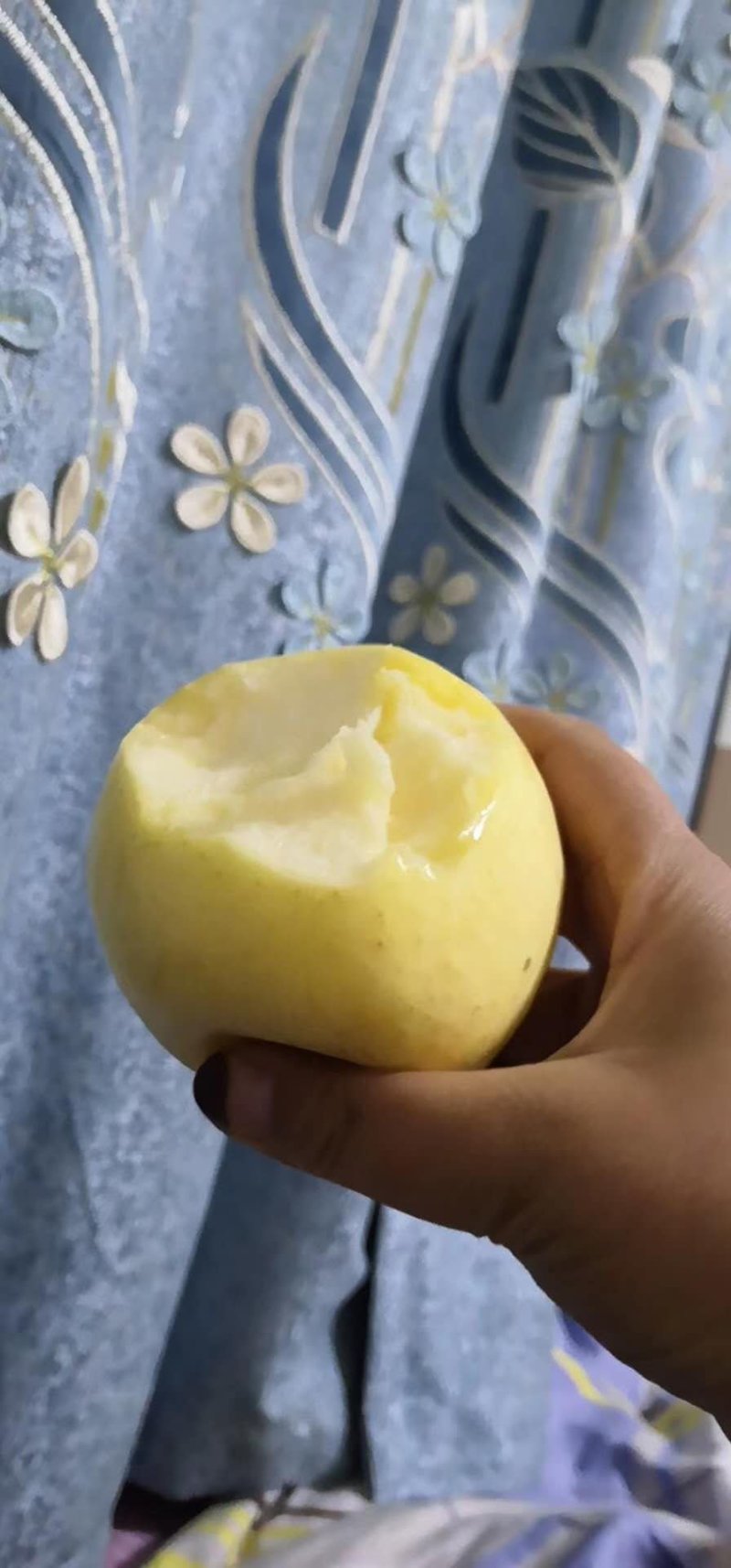 奶油富士