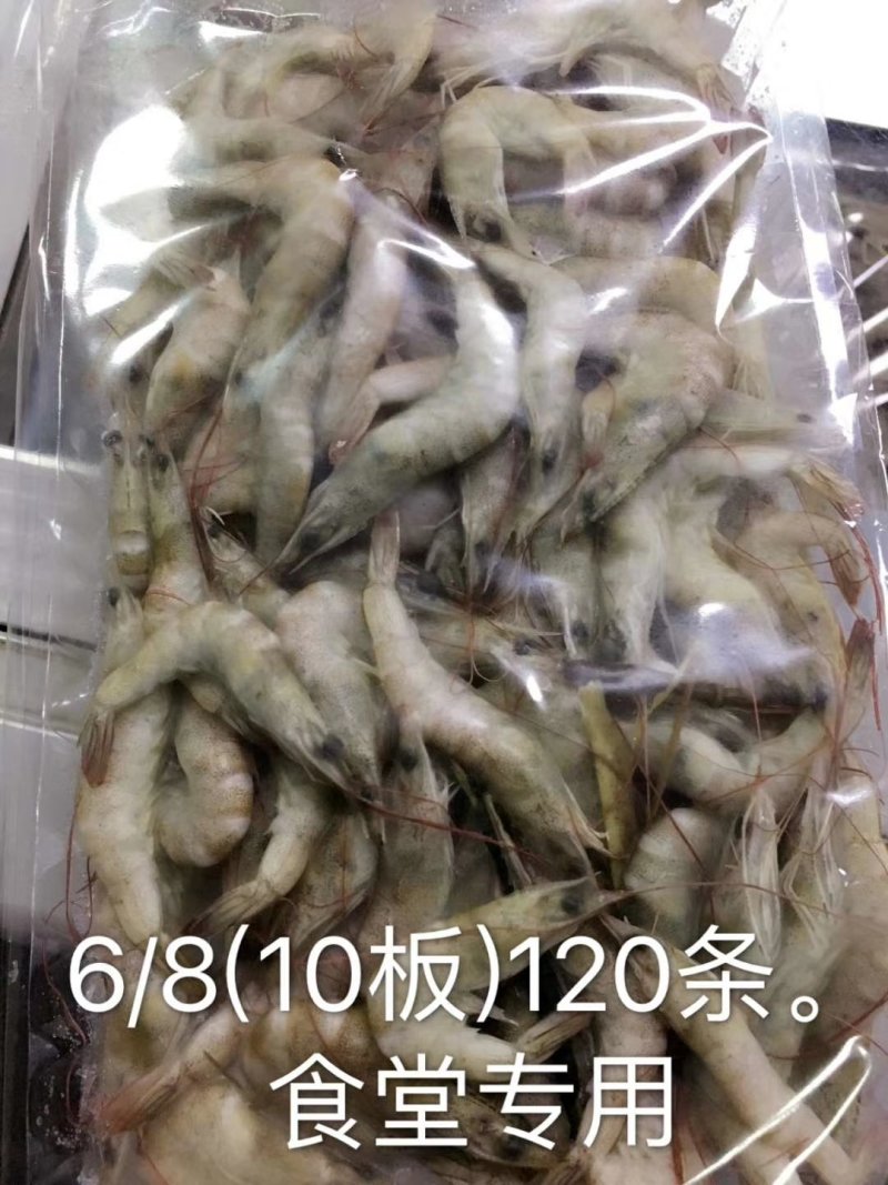 多种多样各种型号湖虾