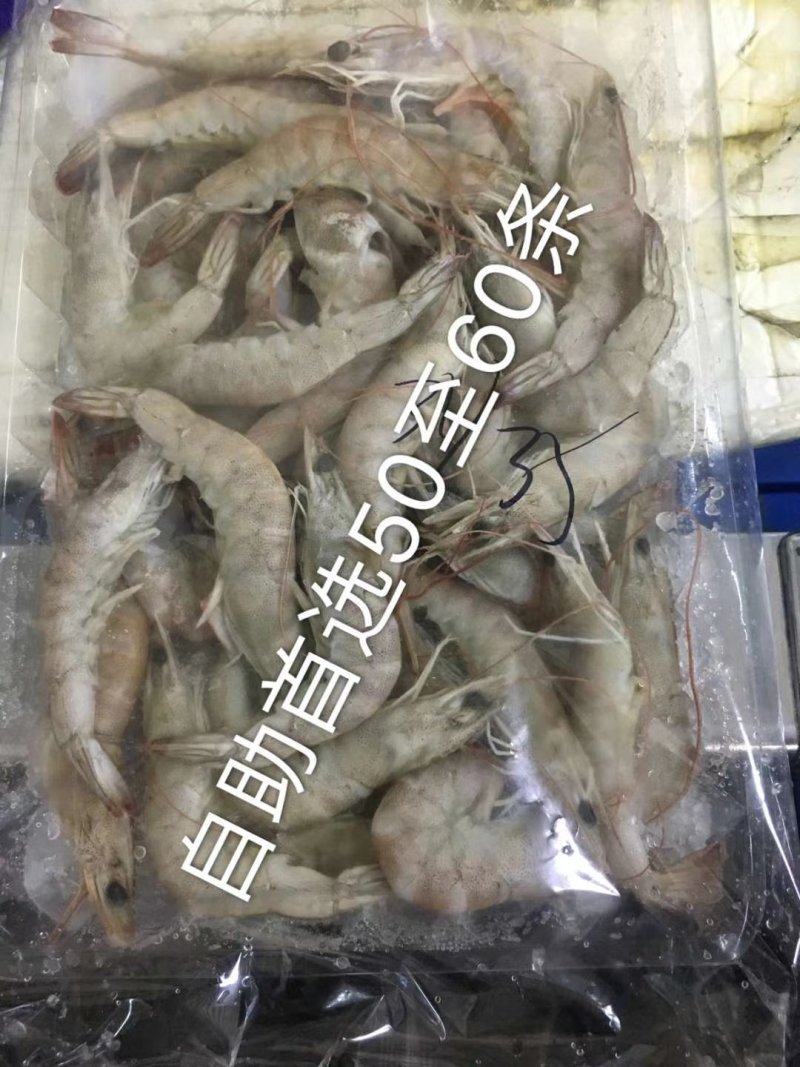 多种多样各种型号湖虾