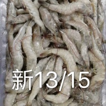 多种多样各种型号湖虾