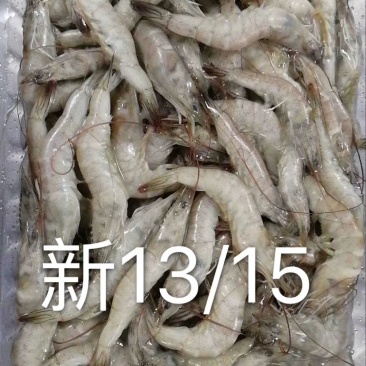多种多样各种型号湖虾