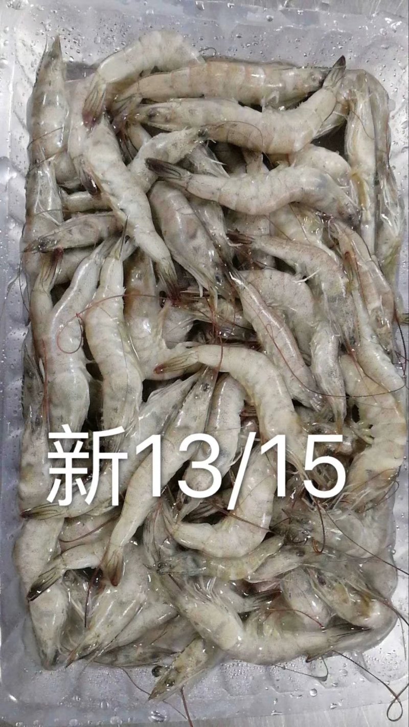 多种多样各种型号湖虾