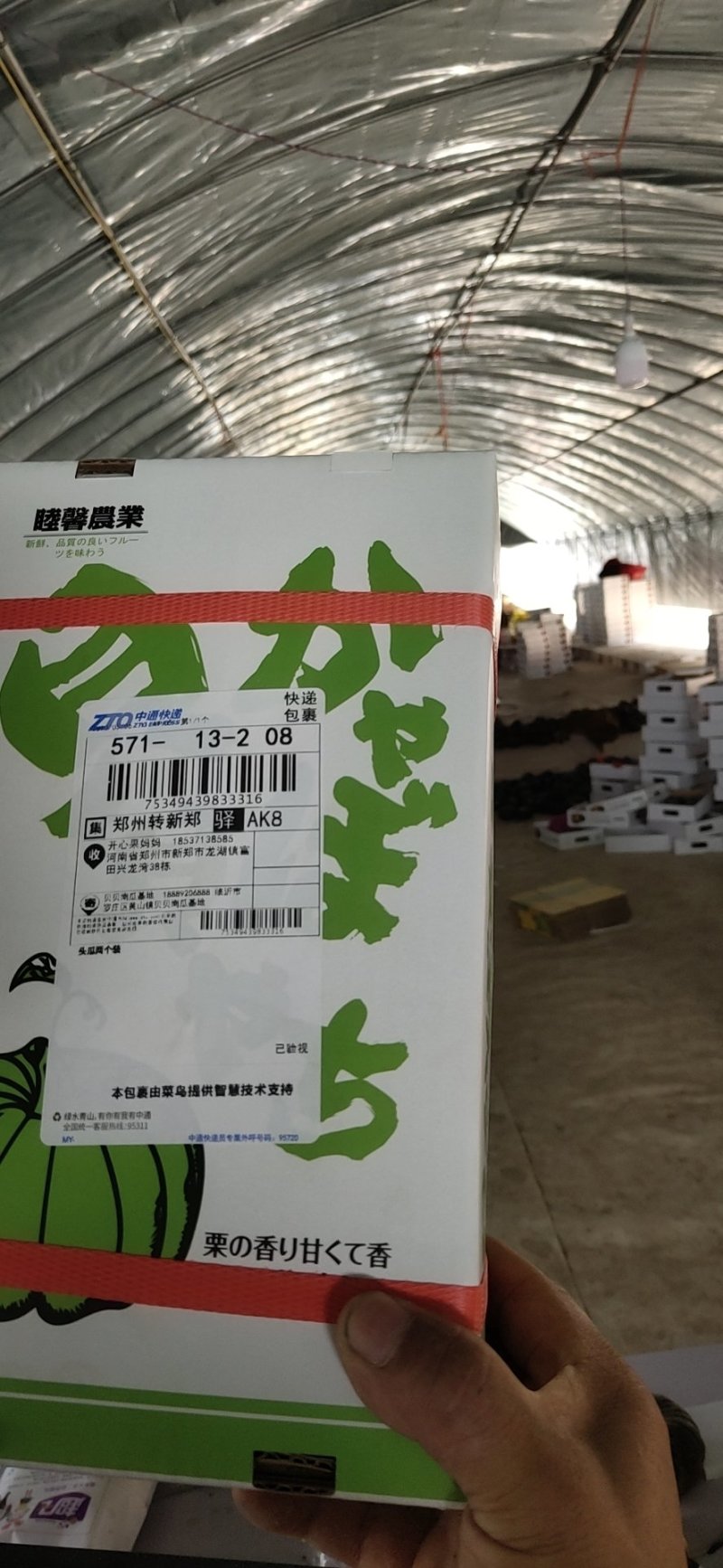 日本惠和贝贝南瓜一件代发保证品质实力客户首单免单微信