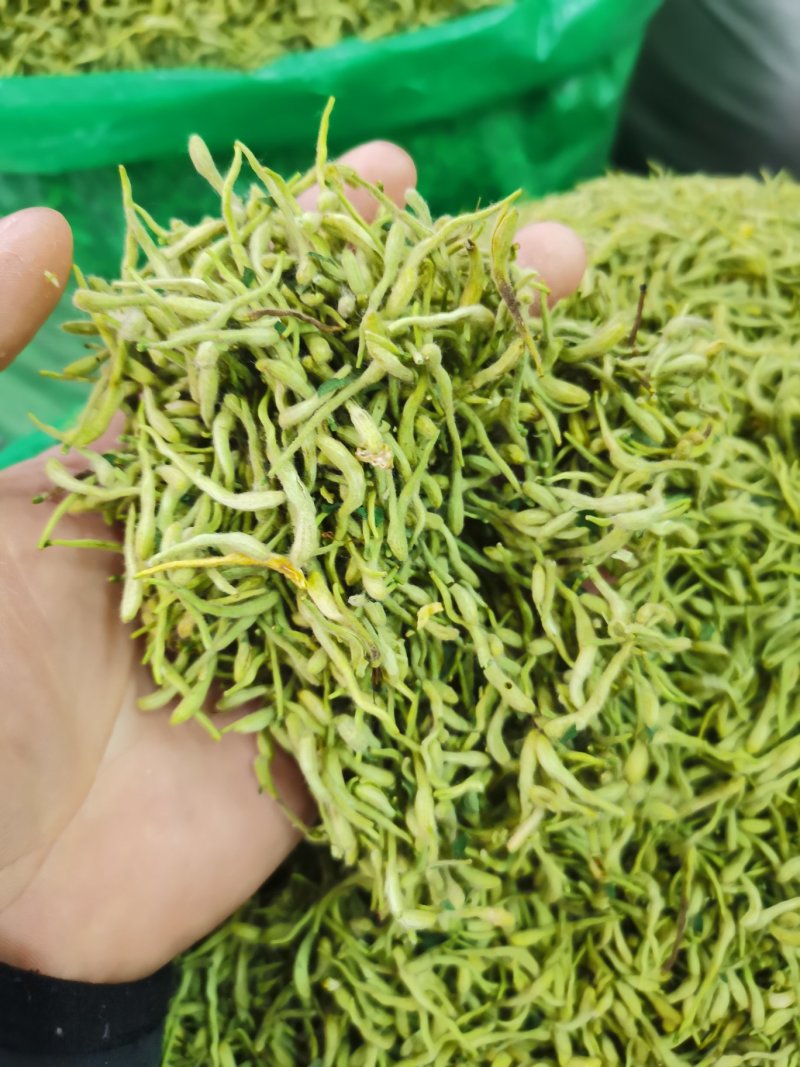 金银花二花包邮精选新货无杂质山东河南金银花包邮