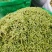 金银花二花包邮精选新货无杂质山东河南金银花包邮