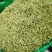 金银花二花包邮精选新货无杂质山东河南金银花包邮
