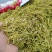 金银花二花包邮精选新货无杂质山东河南金银花包邮