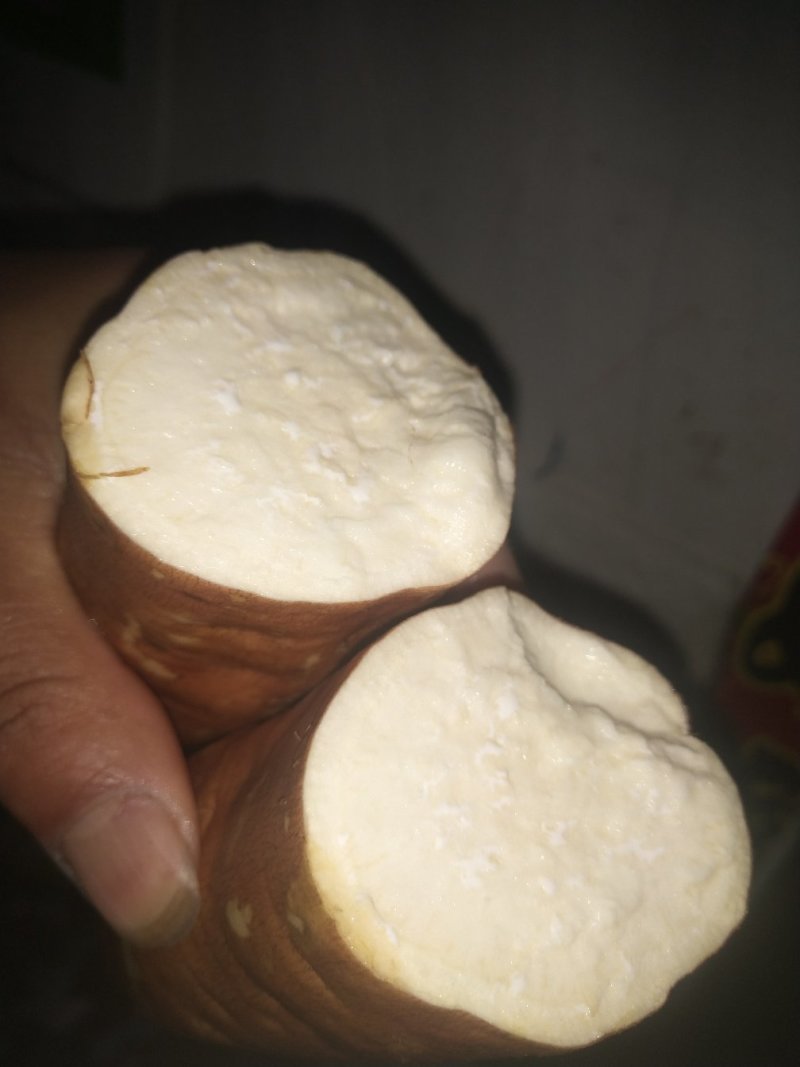 脱毒红薯苗脱毒西瓜红红薯苗日本红瑶质量基地直发