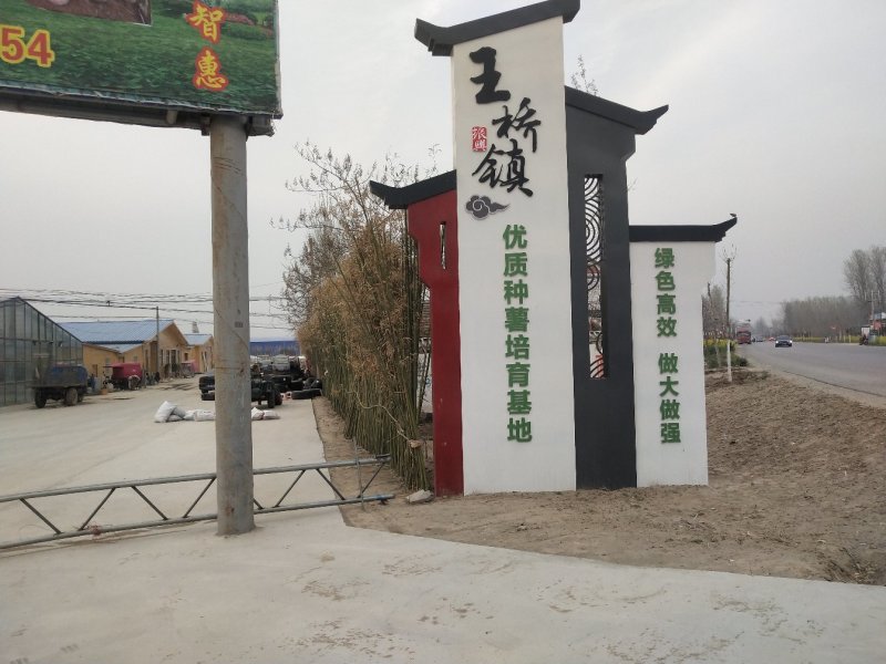 脱毒红薯苗脱毒西瓜红红薯苗日本红瑶质量基地直发