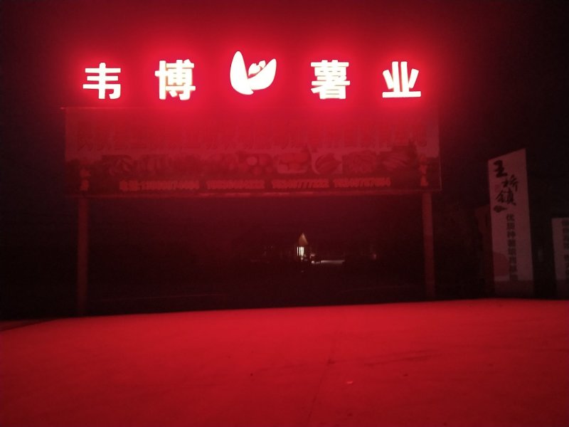 脱毒红薯苗脱毒西瓜红红薯苗日本红瑶质量基地直发