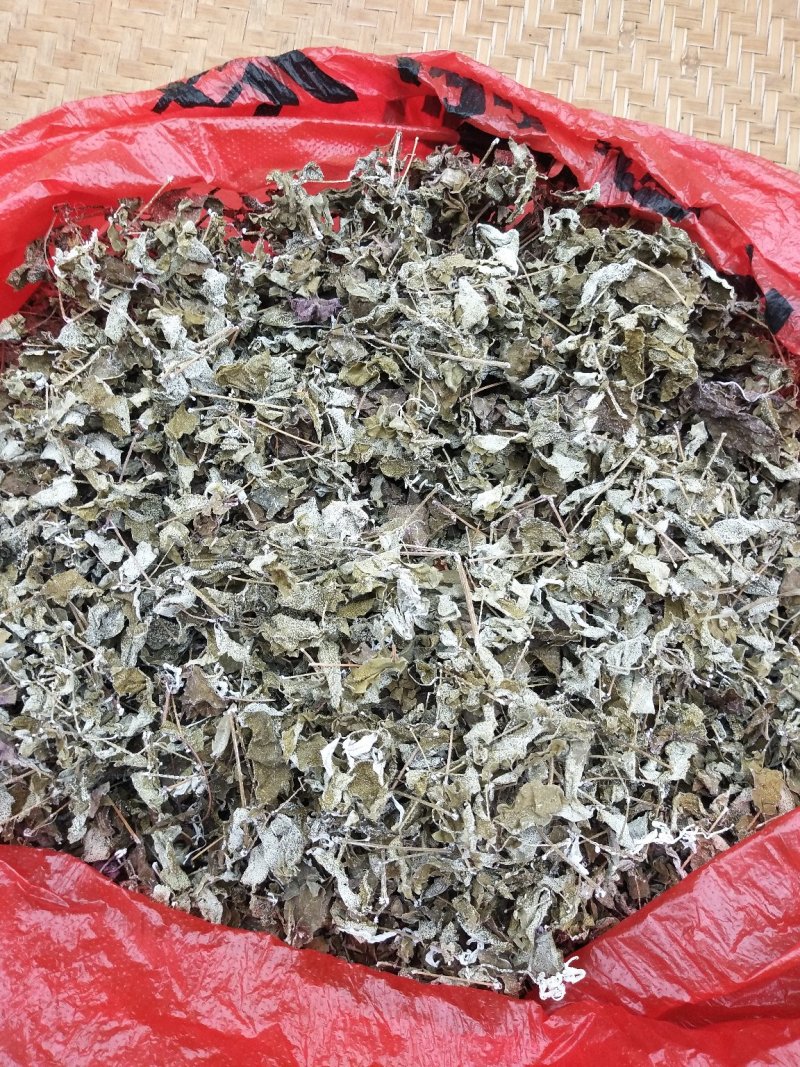 藤茶
