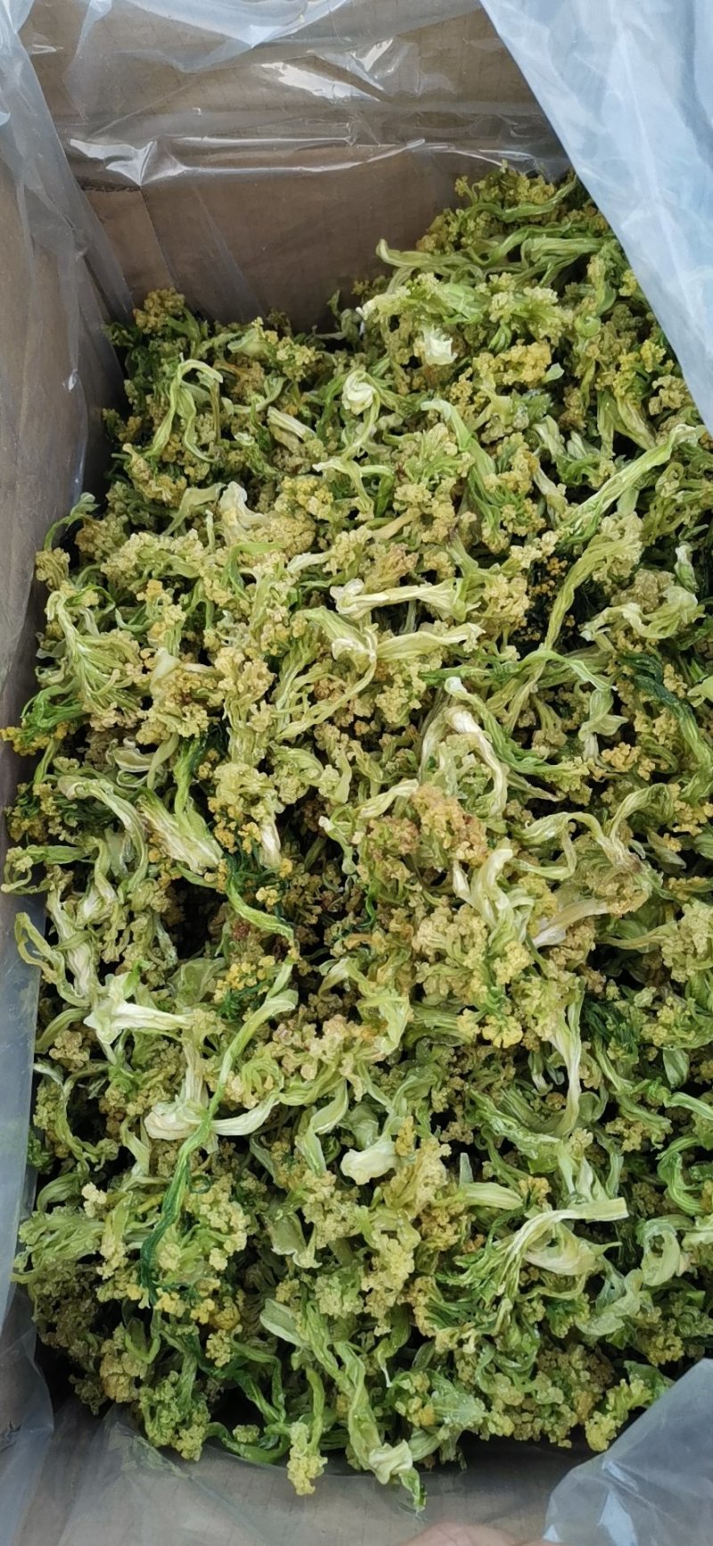 五斤装菜花干2020年新脱水花菜干