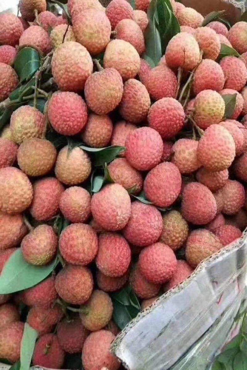 越南荔枝