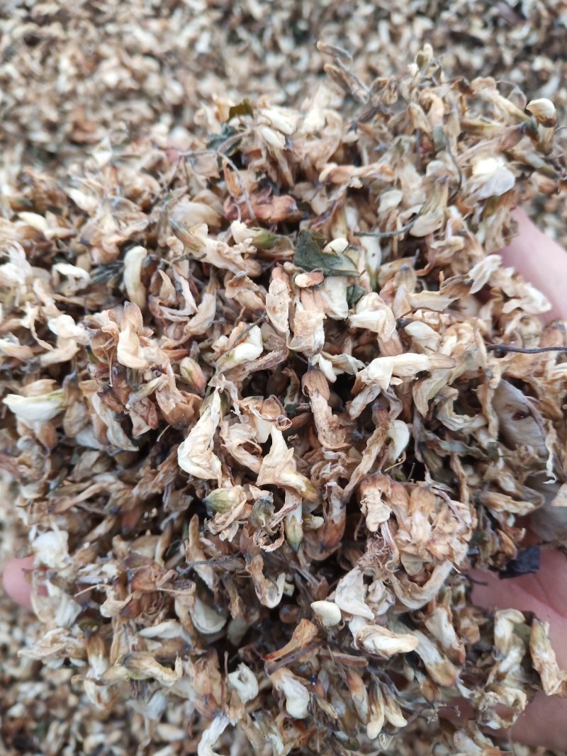 【推荐】精品脱水槐花凉拌炒肉包饺子包子晾干烘干天然好品质