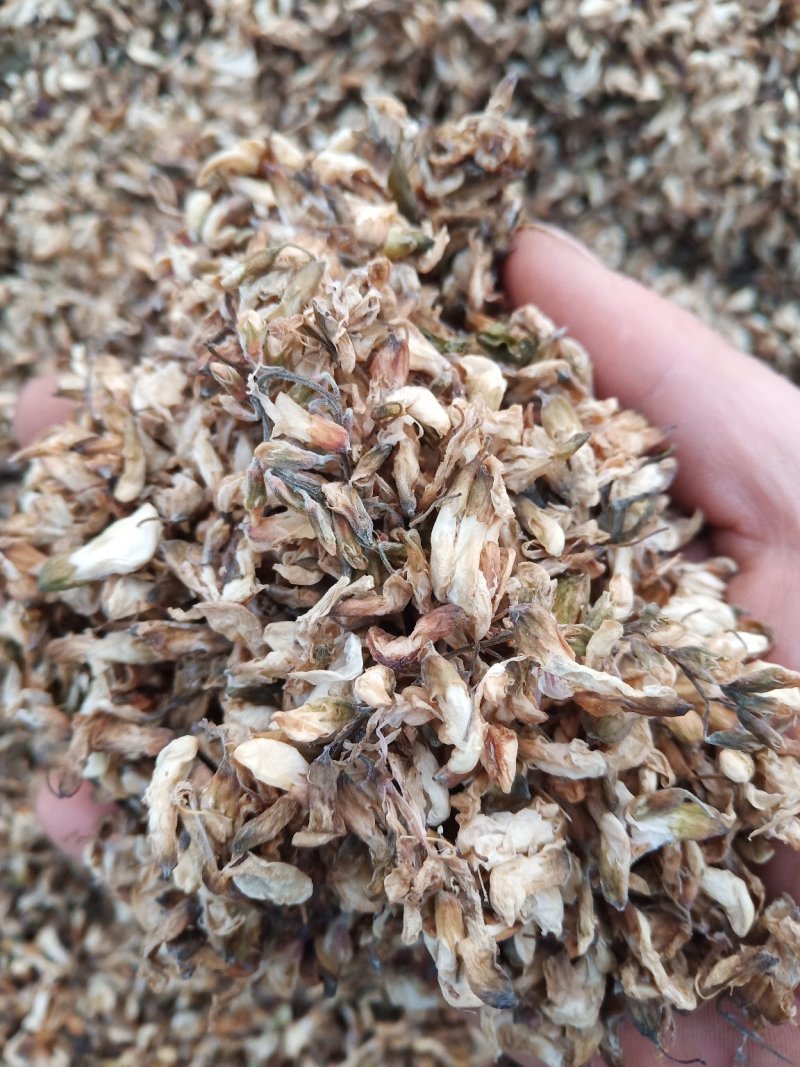 【推荐】精品脱水槐花凉拌炒肉包饺子包子晾干烘干天然好品质