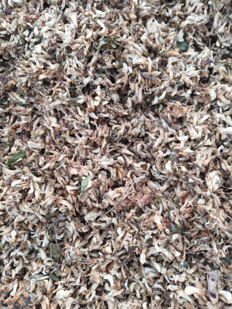【推荐】精品脱水槐花凉拌炒肉包饺子包子晾干烘干天然好品质