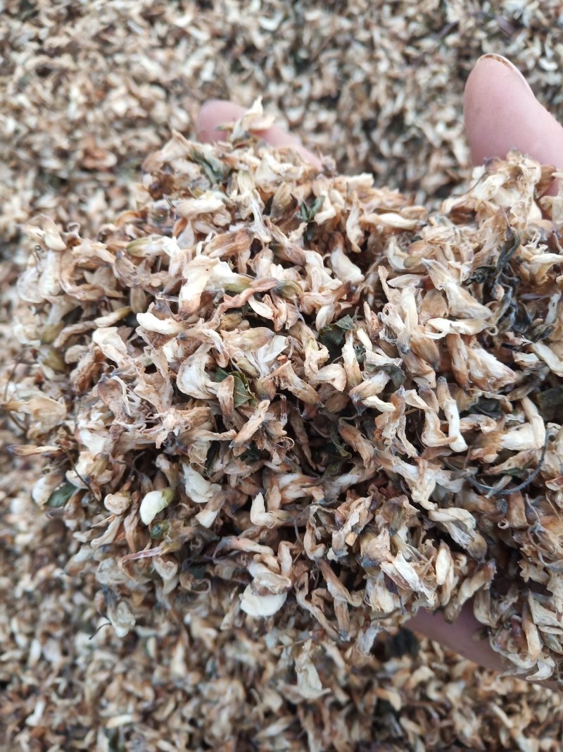 【推荐】精品脱水槐花凉拌炒肉包饺子包子晾干烘干天然好品质