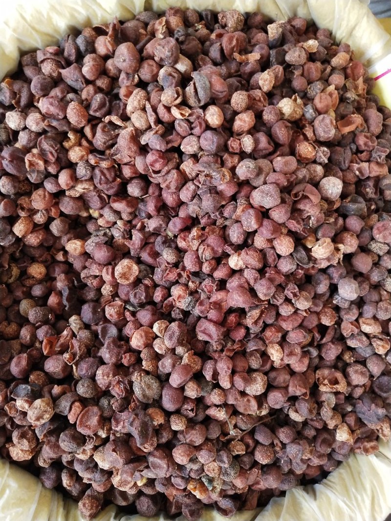 山黄皮，新货山黄皮色泽好味道香