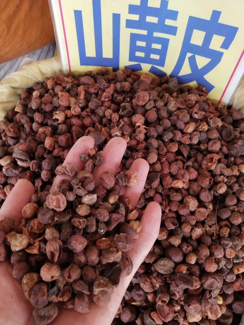 山黄皮，新货山黄皮色泽好味道香