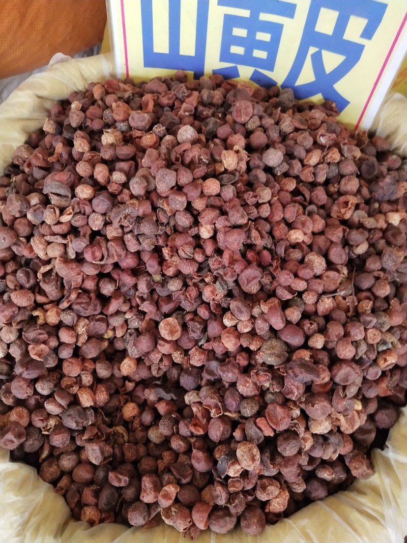 山黄皮，新货山黄皮色泽好味道香