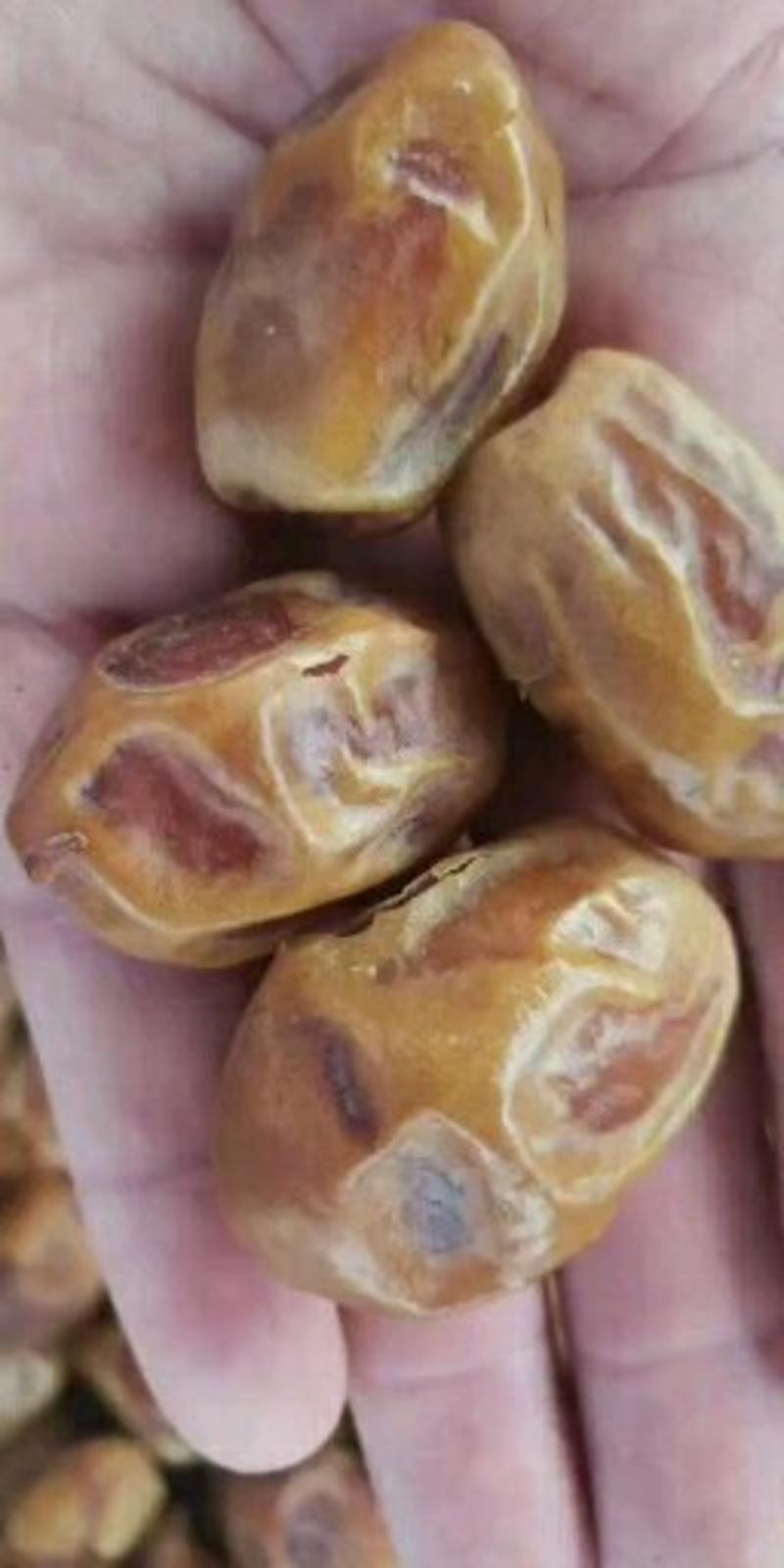 伊拉克黄金椰枣厂家批发一手货源对接网店电商社区配送