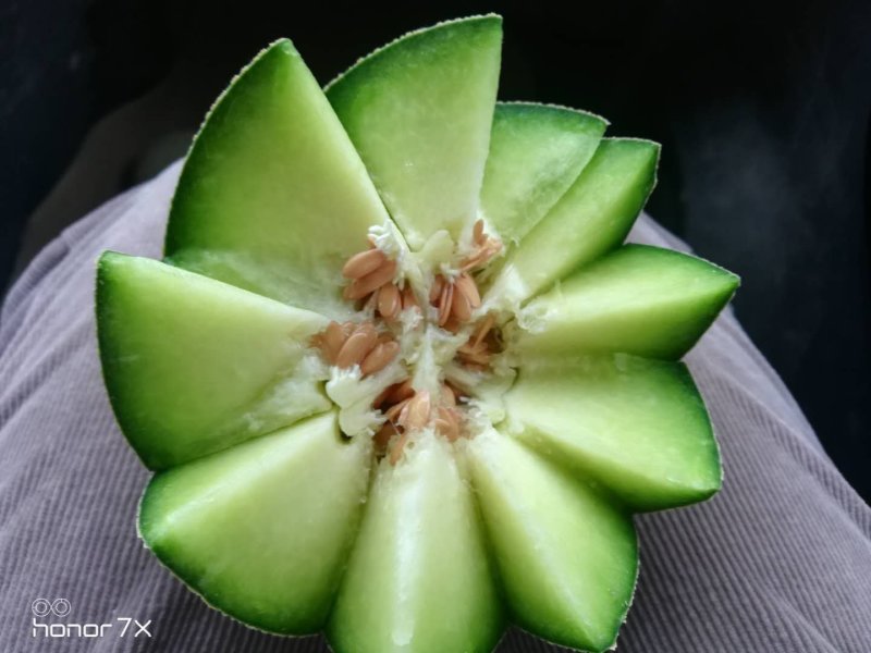 高品质网纹瓜，清脆可口，地头直销