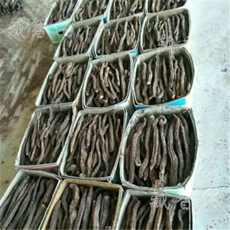 锁阳【大漠精品锁阳】金锁阳自挖自销一手货源1斤起全国包邮