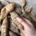 正宗黑皮野生牛大力，质量保证，规格好，量大从优