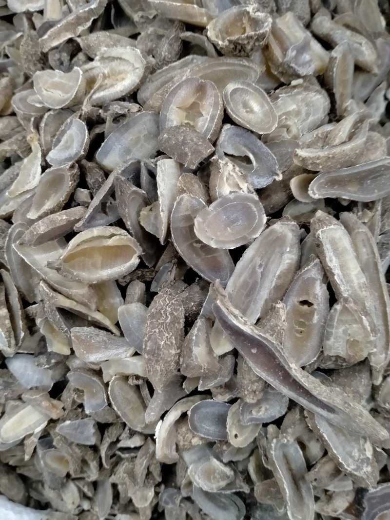 郁金！产地大货批发供应！一手货源价格优！