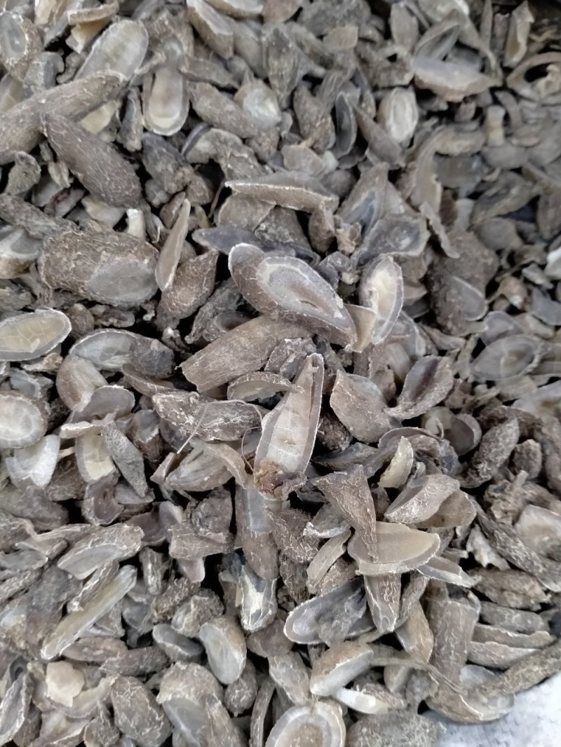 郁金！产地大货批发供应！一手货源价格优！