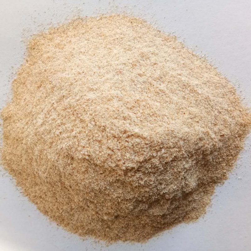 现货供应小麦提取物次粉小麦次粉猪牛羊动物饲料量大优
