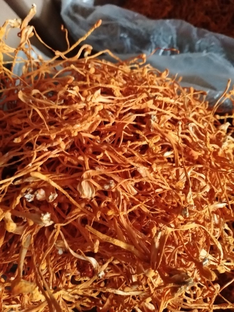 袋装虫草花东北产地批发干货虫草花、北虫草袋装500克无硫