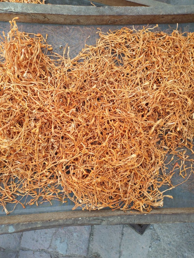 袋装虫草花东北产地批发干货虫草花、北虫草袋装500克无硫