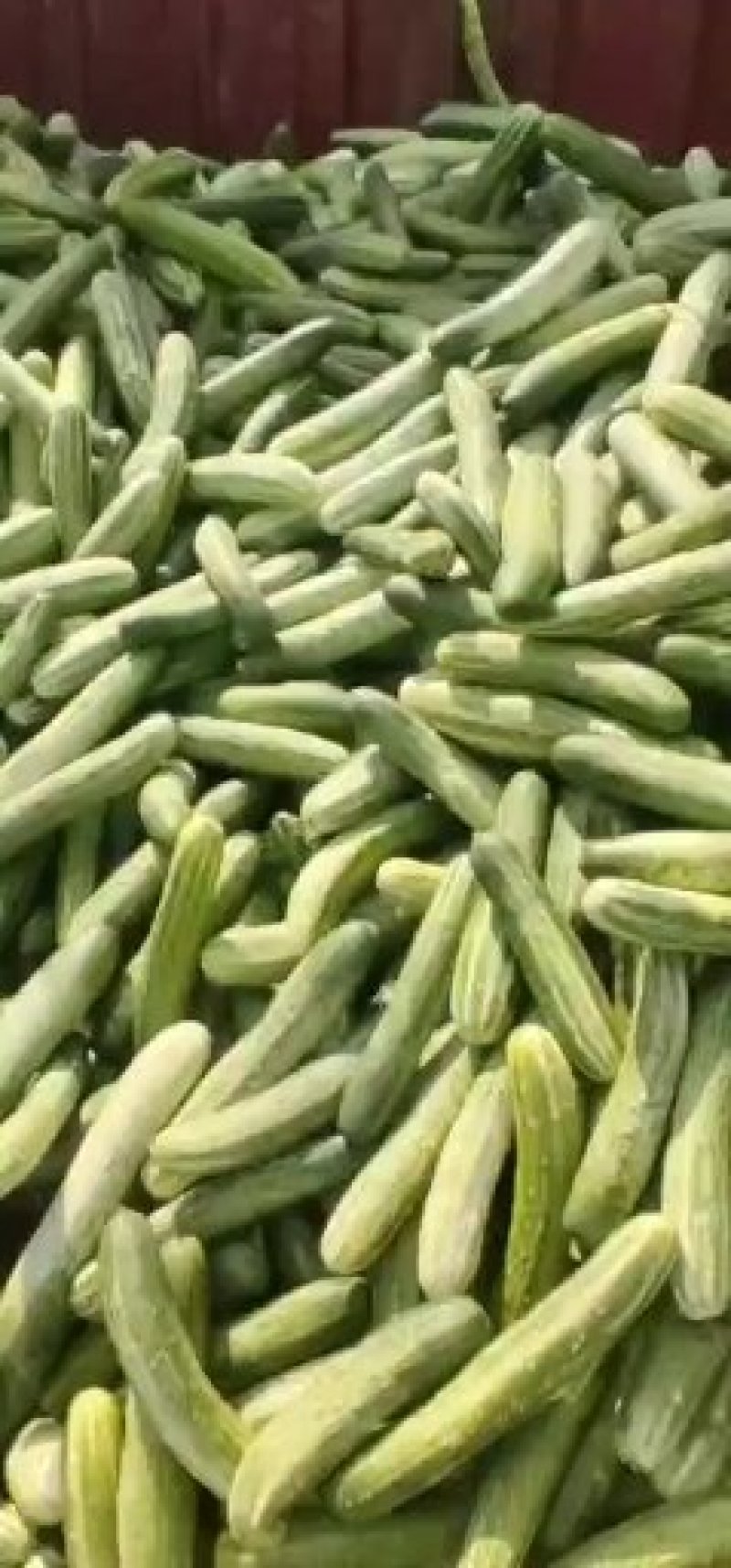 黄瓜