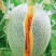 哈密瓜【西州蜜25号】