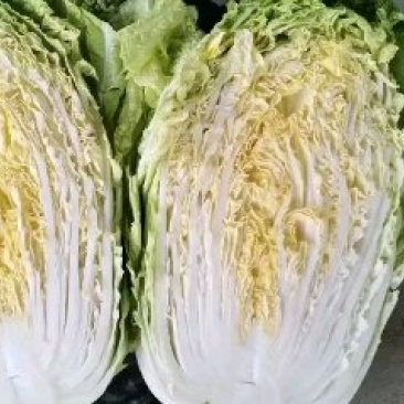 大白菜