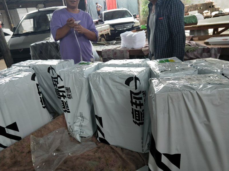 只有你想不到的，没有我做不到的。从基地到包装，打包代发。