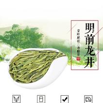 西湖绿茶杭州龙井2023新茶龙井茶明前特级茶叶