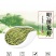 西湖绿茶杭州龙井2023新茶龙井茶明前特级茶叶