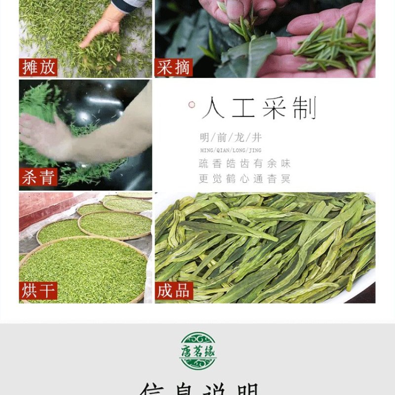 西湖绿茶杭州龙井2023新茶龙井茶明前特级茶叶