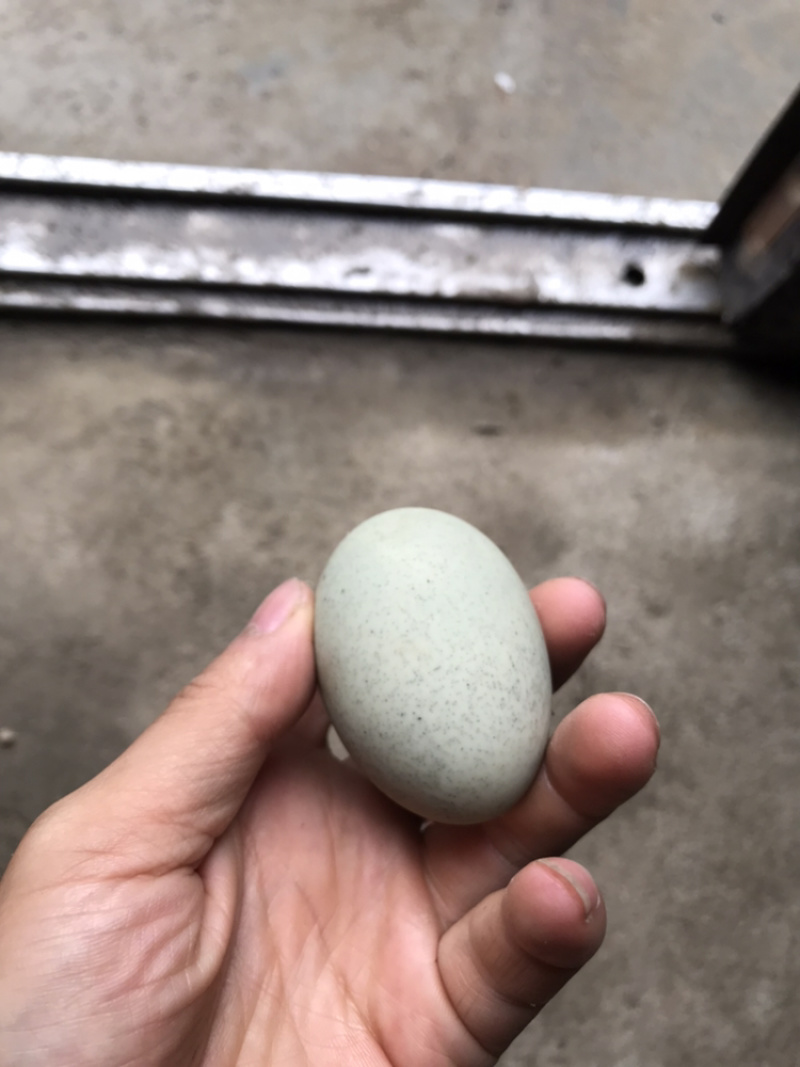 松花皮蛋