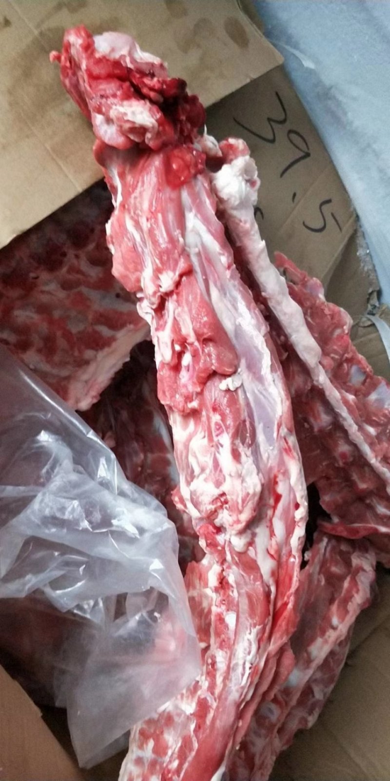 羊蝎子适合炖炒羊蝎子运费自付不包邮